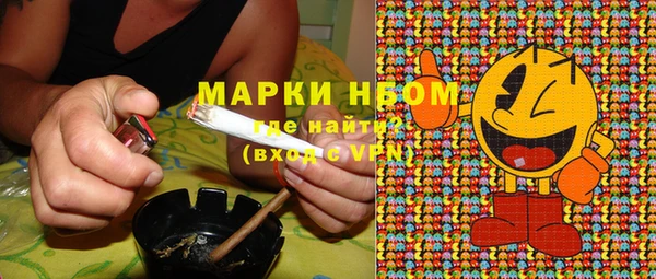 дмт Няндома