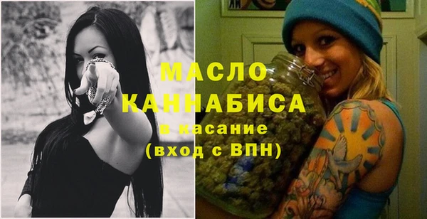 дмт Няндома