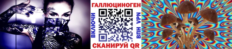 хочу наркоту  Новосиль  МЕГА вход  Галлюциногенные грибы Cubensis 